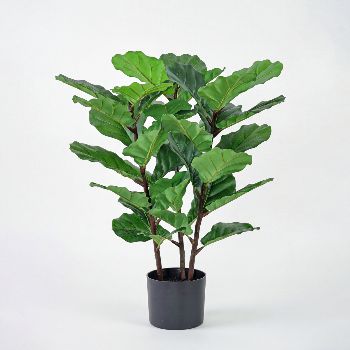 Ficus Lyrata artificial 70 cm în ghiveci negru compact