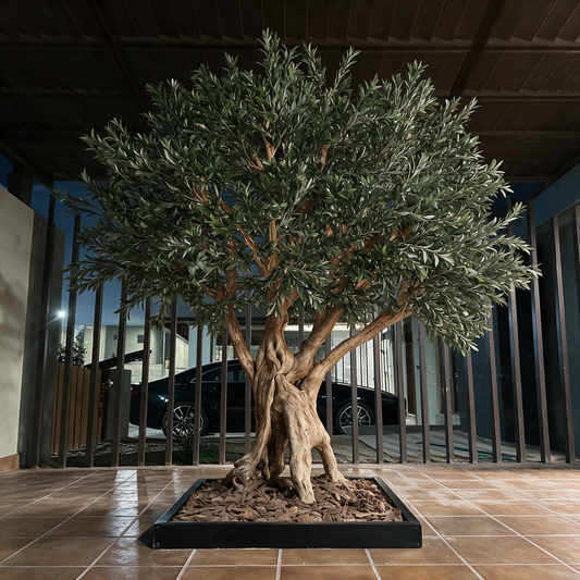 Elaios Olive
