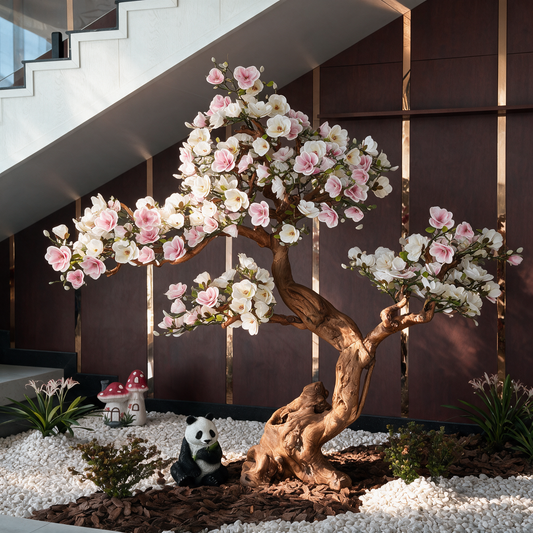 Grand Magnolia Aurea