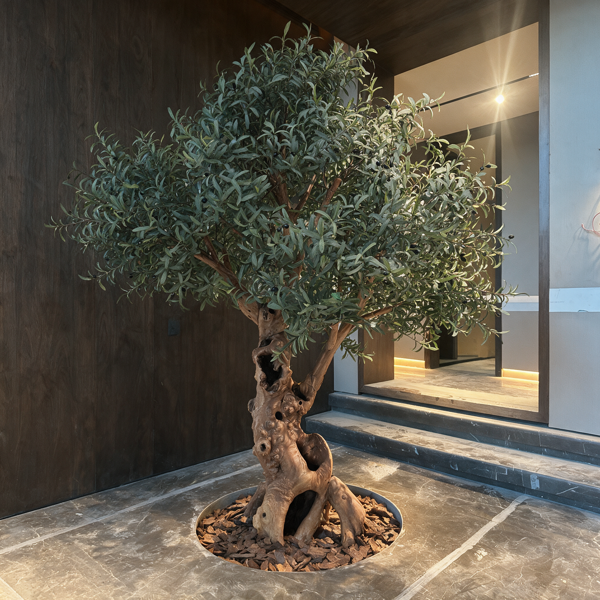 Imperial Olive