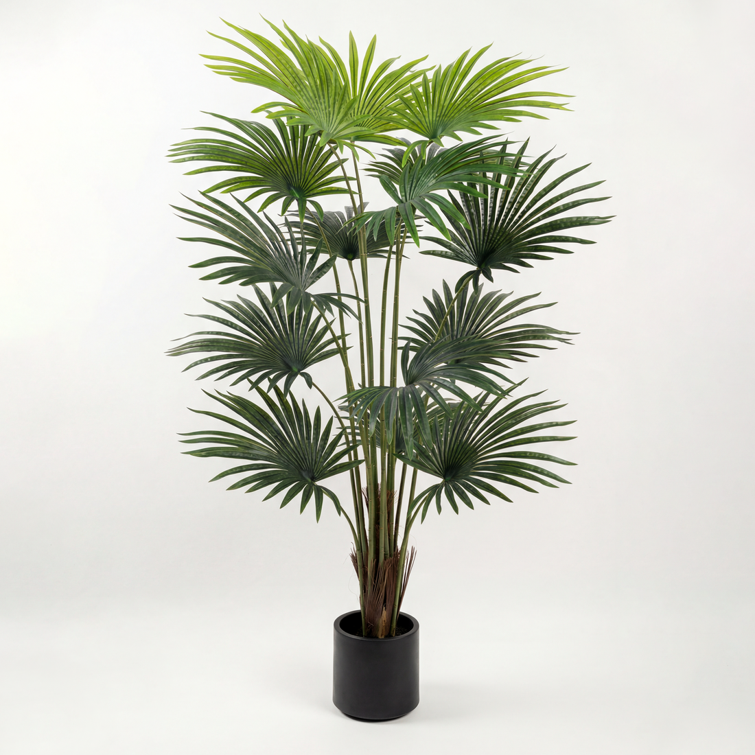 Palmier Evantai artificial 160 cm pentru decor interior