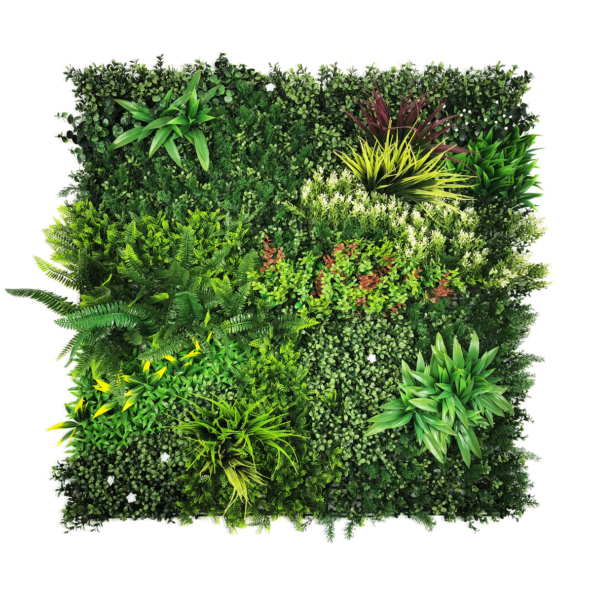 Panou verde artificial EDEN 100x100 cm pe fundal alb