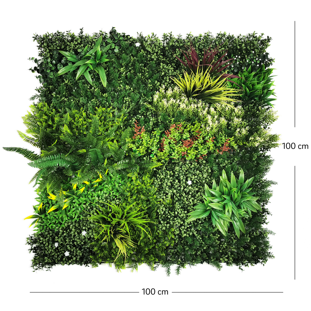 Dimensiuni panou verde artificial EDEN 100x100 cm