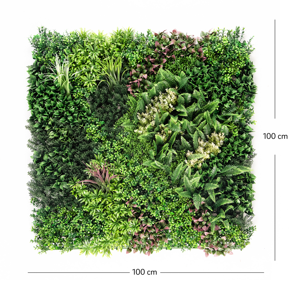 Dimensiuni panou verde artificial ELIA 02 100x100 cm
