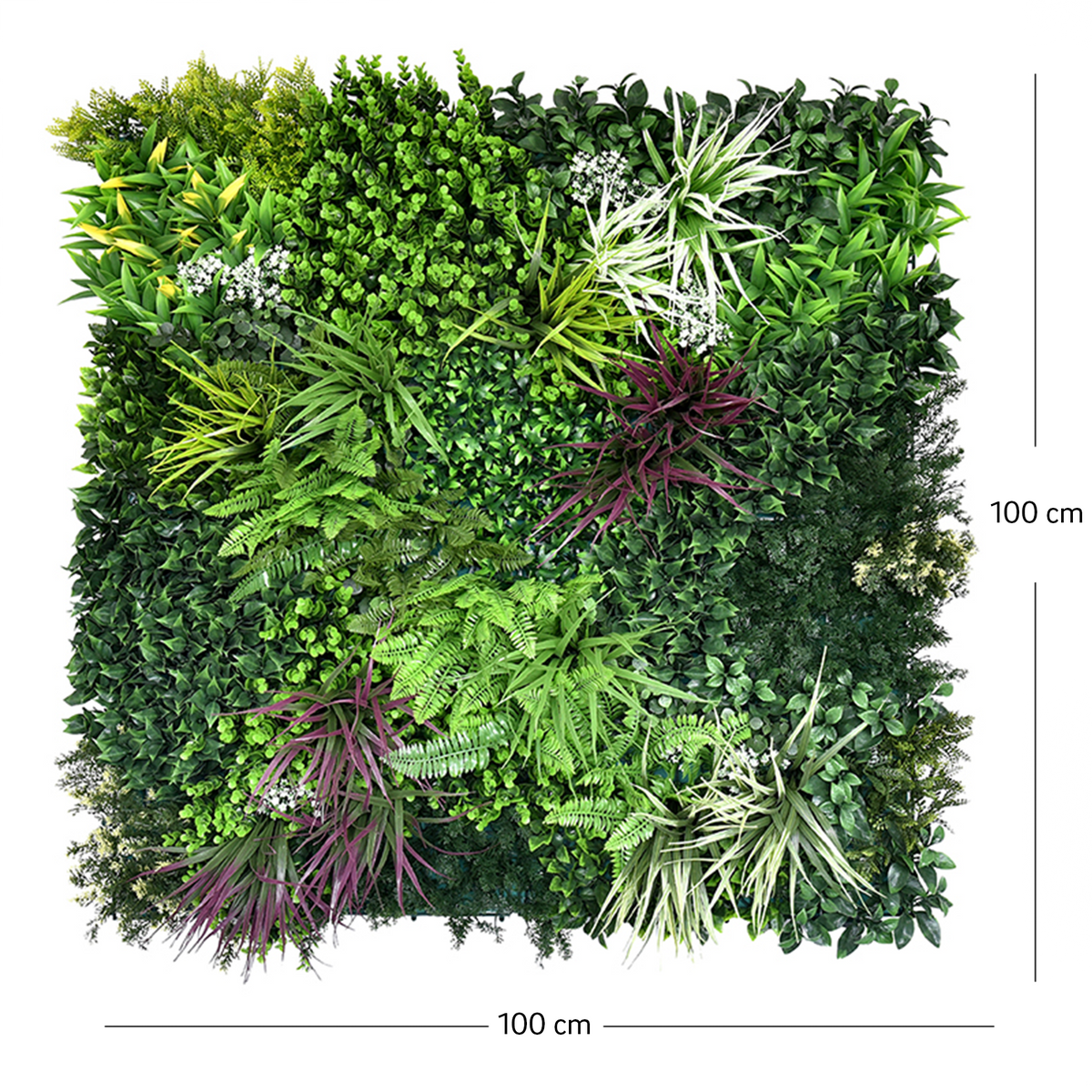 Dimensiuni panou verde artificial NOVA 100x100 cm