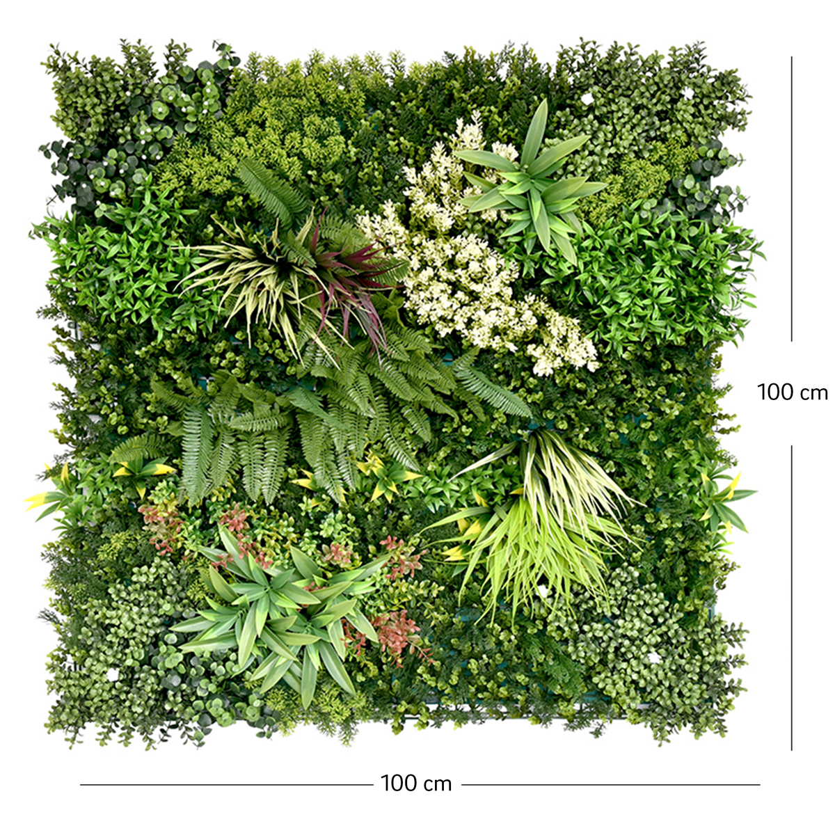 Dimensiuni panou verde artificial TERA 03 100x100 cm