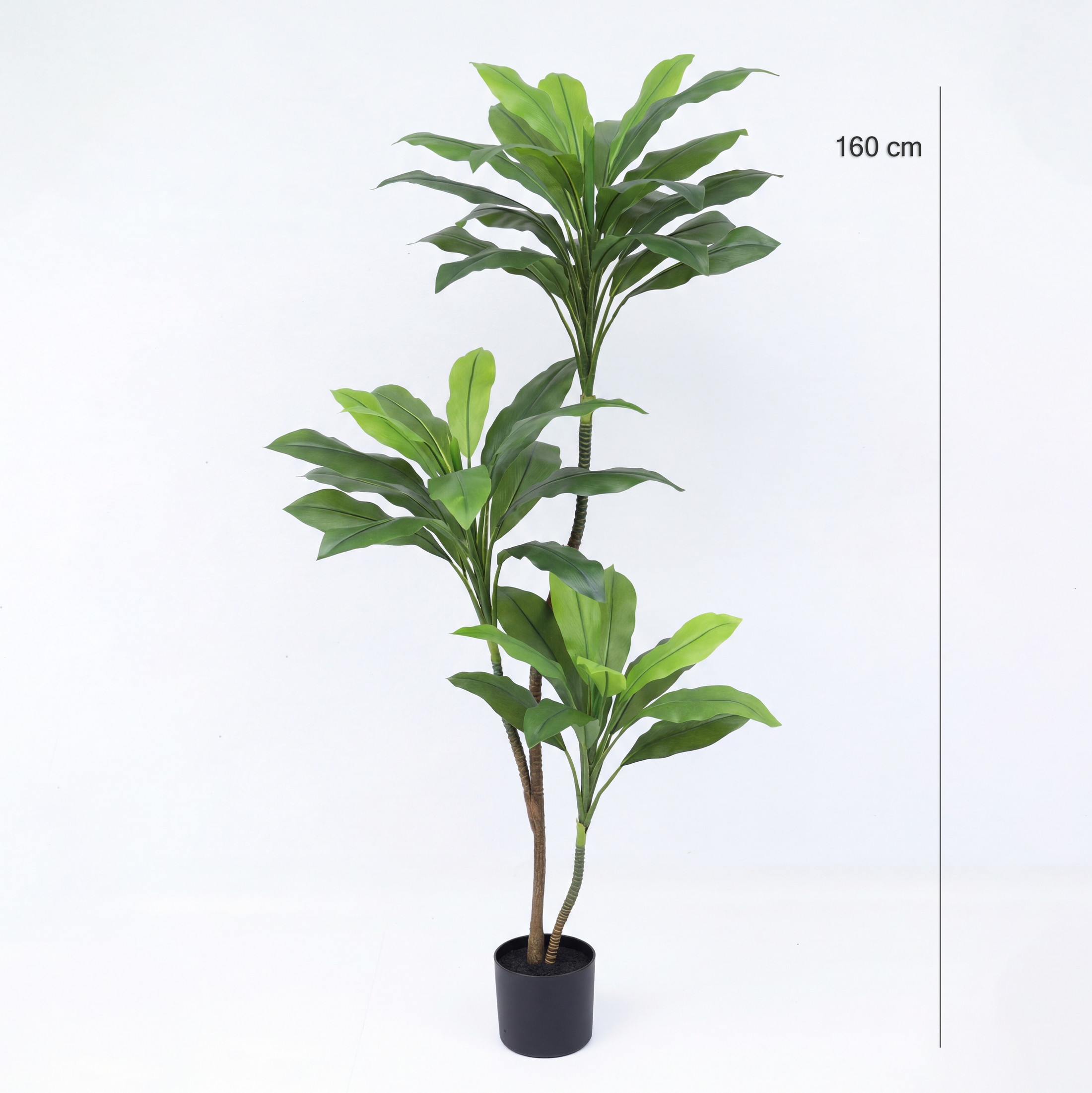 Dracaena Artificială H160cm • Textură Reală