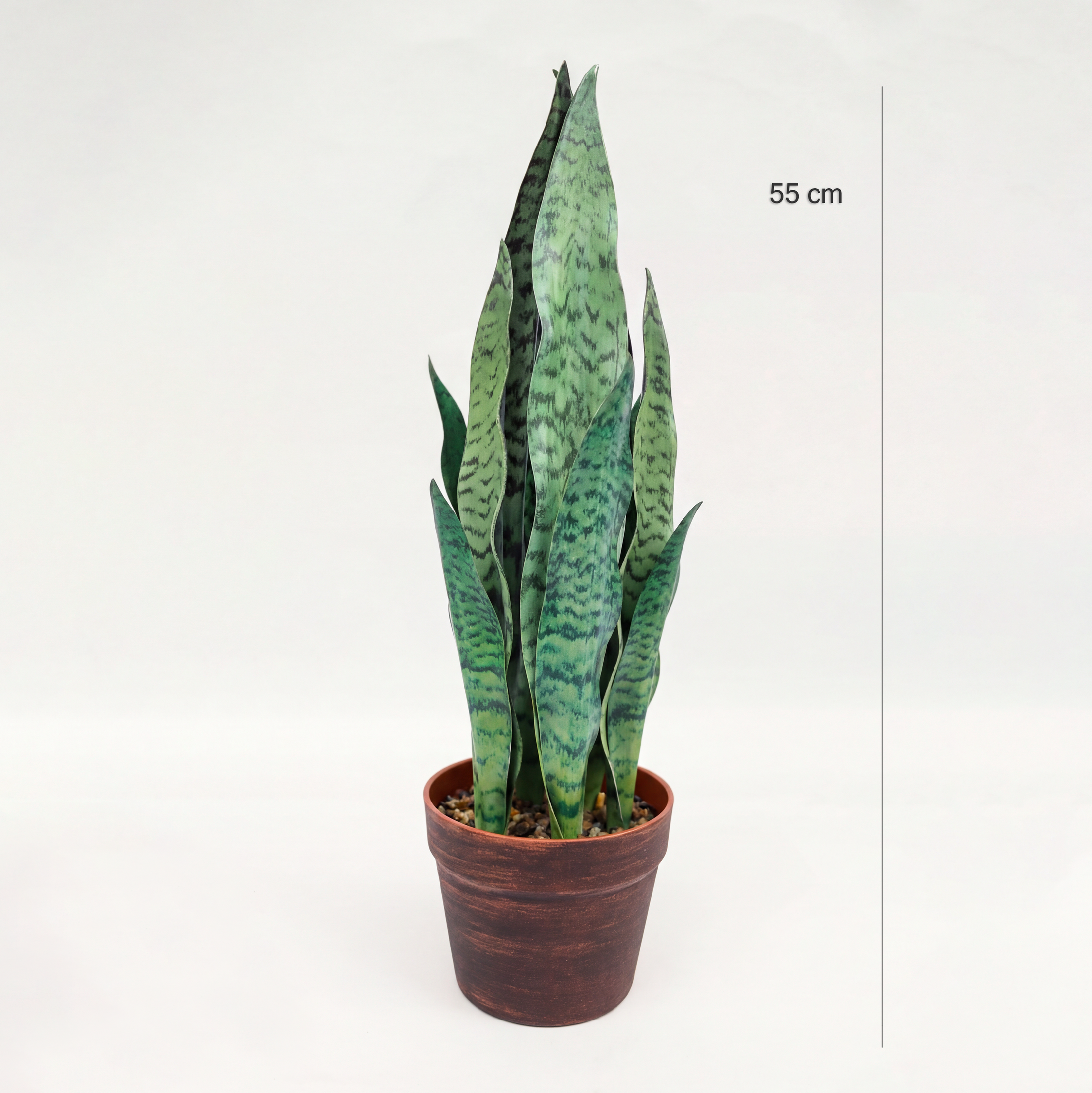 Sansevieria Zeylanica Artificială H55cm • Textură Reală • 12 Frunze