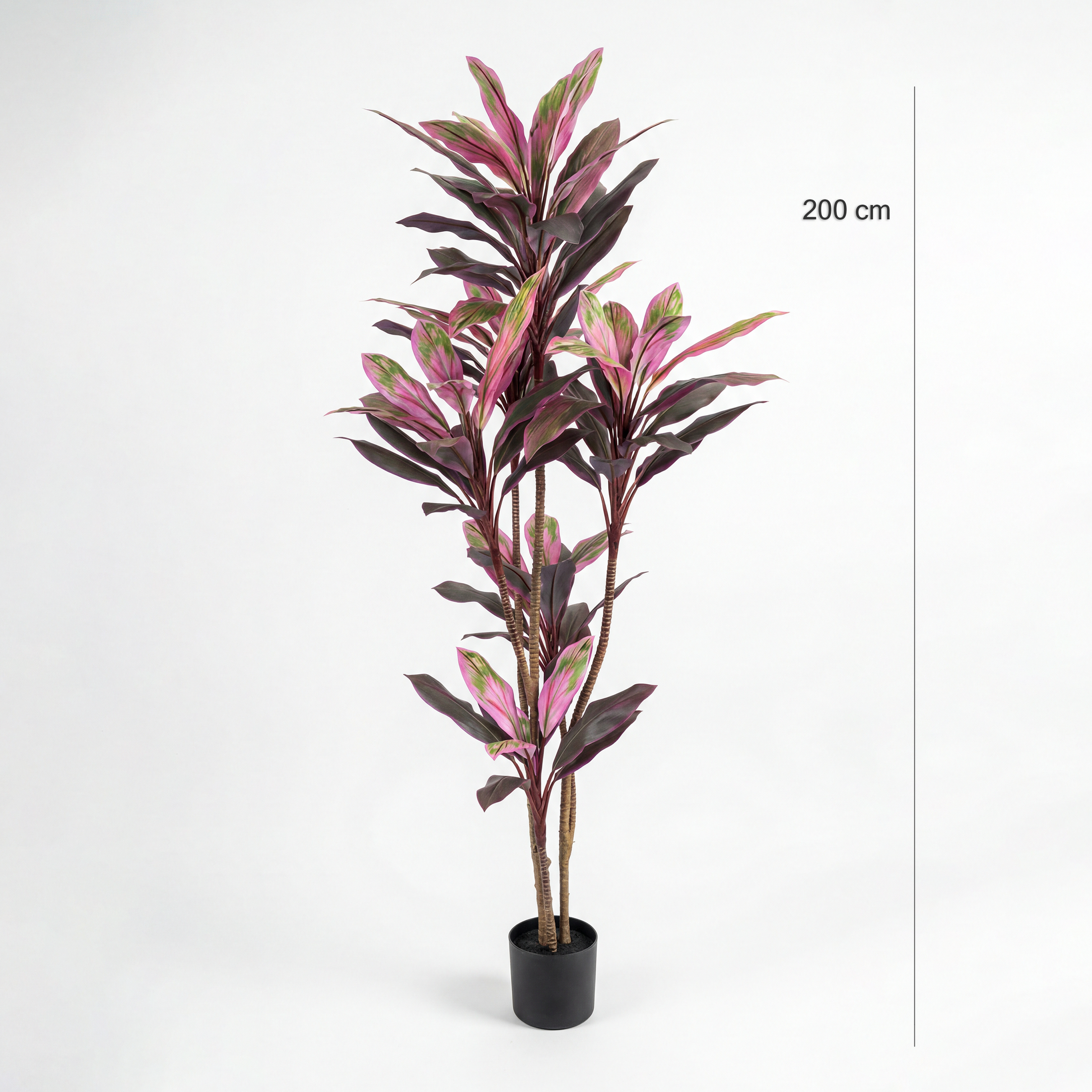 Dracaena Rubin Artificială H200cm • Textură Reală