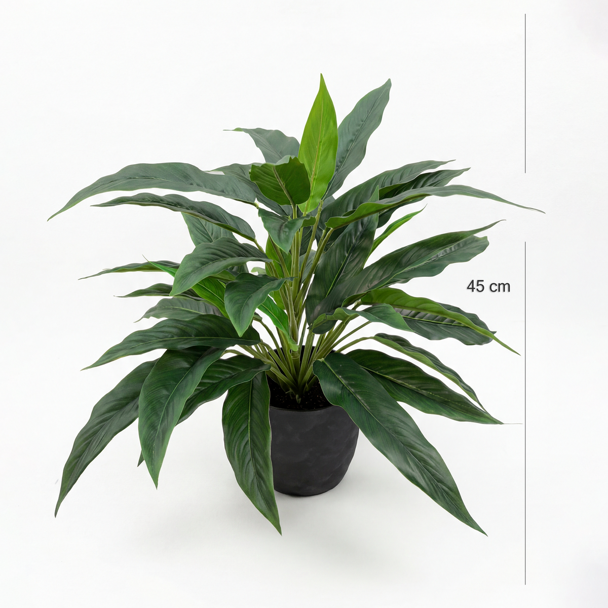 Dimensiuni plantă artificială Rohdea 45 cm