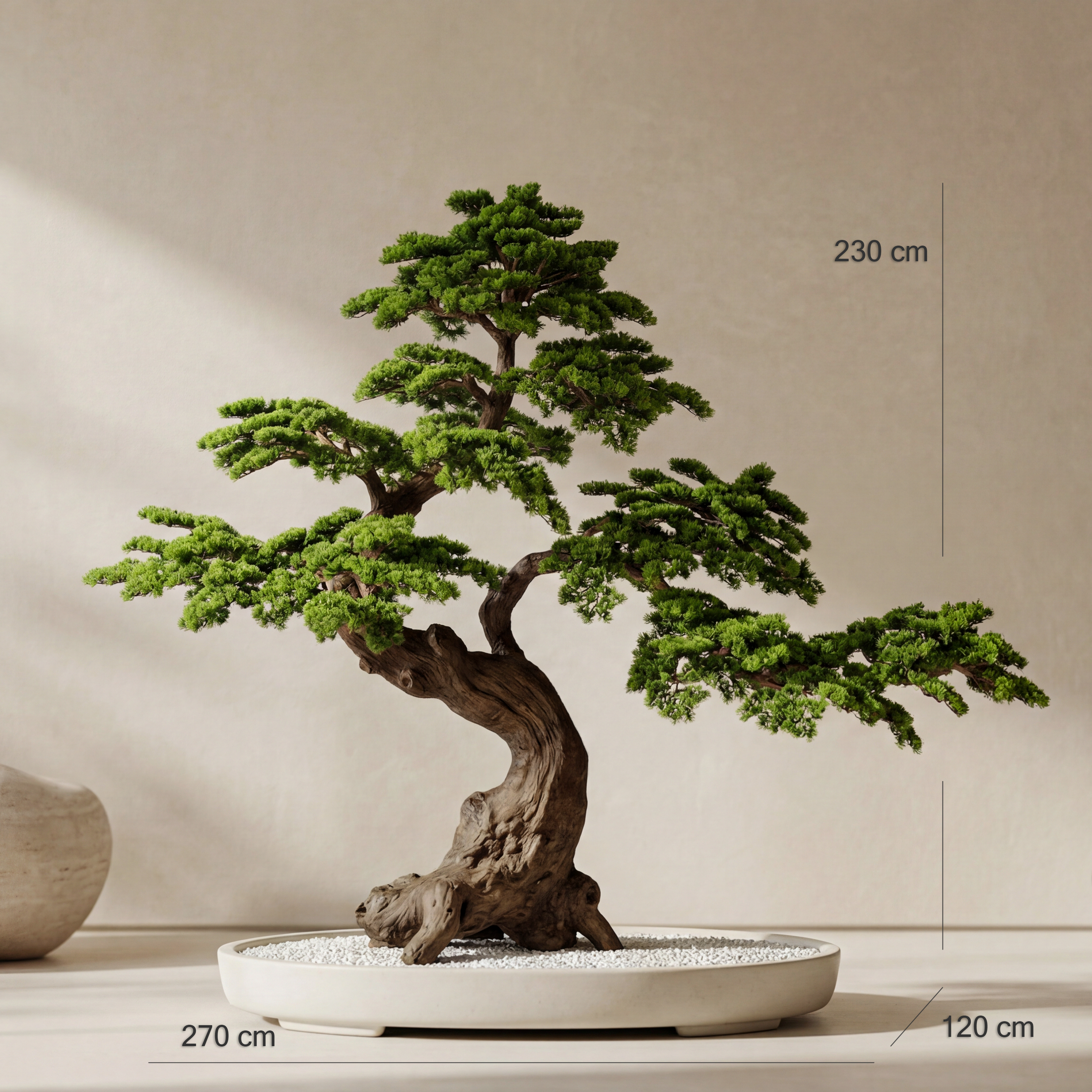 Majesty Pine