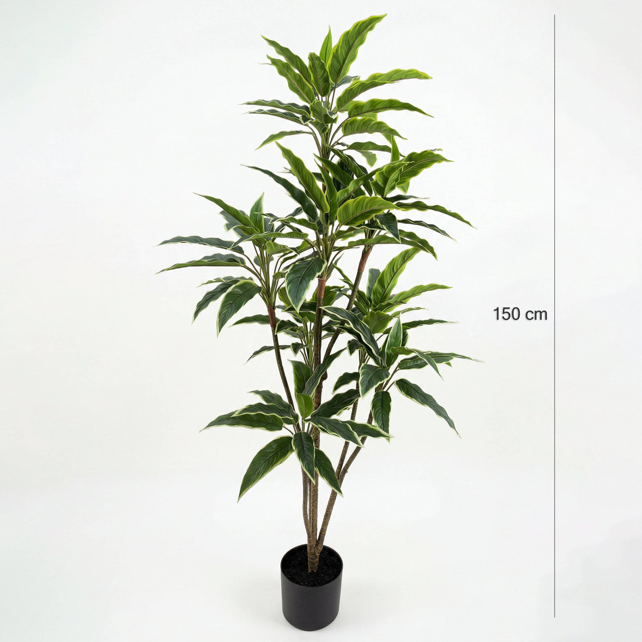 Rohdea Artificială Japonica H150cm • Textură Reală • 134 Frunze