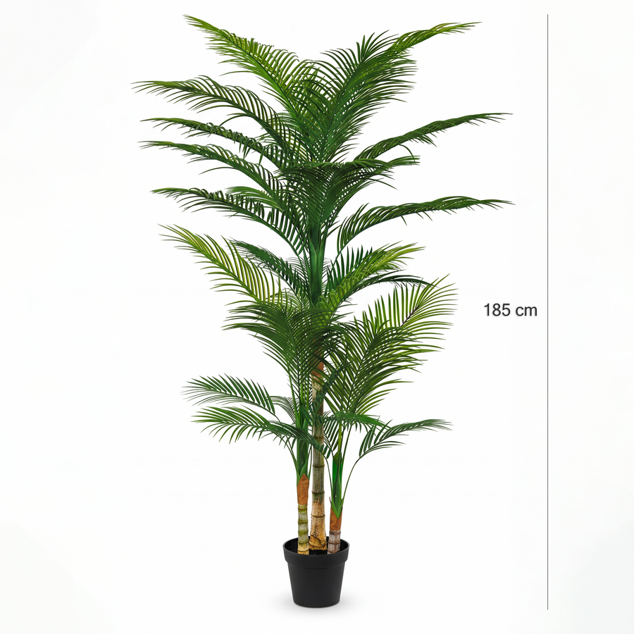 Dimensiuni Palmier 185 cm