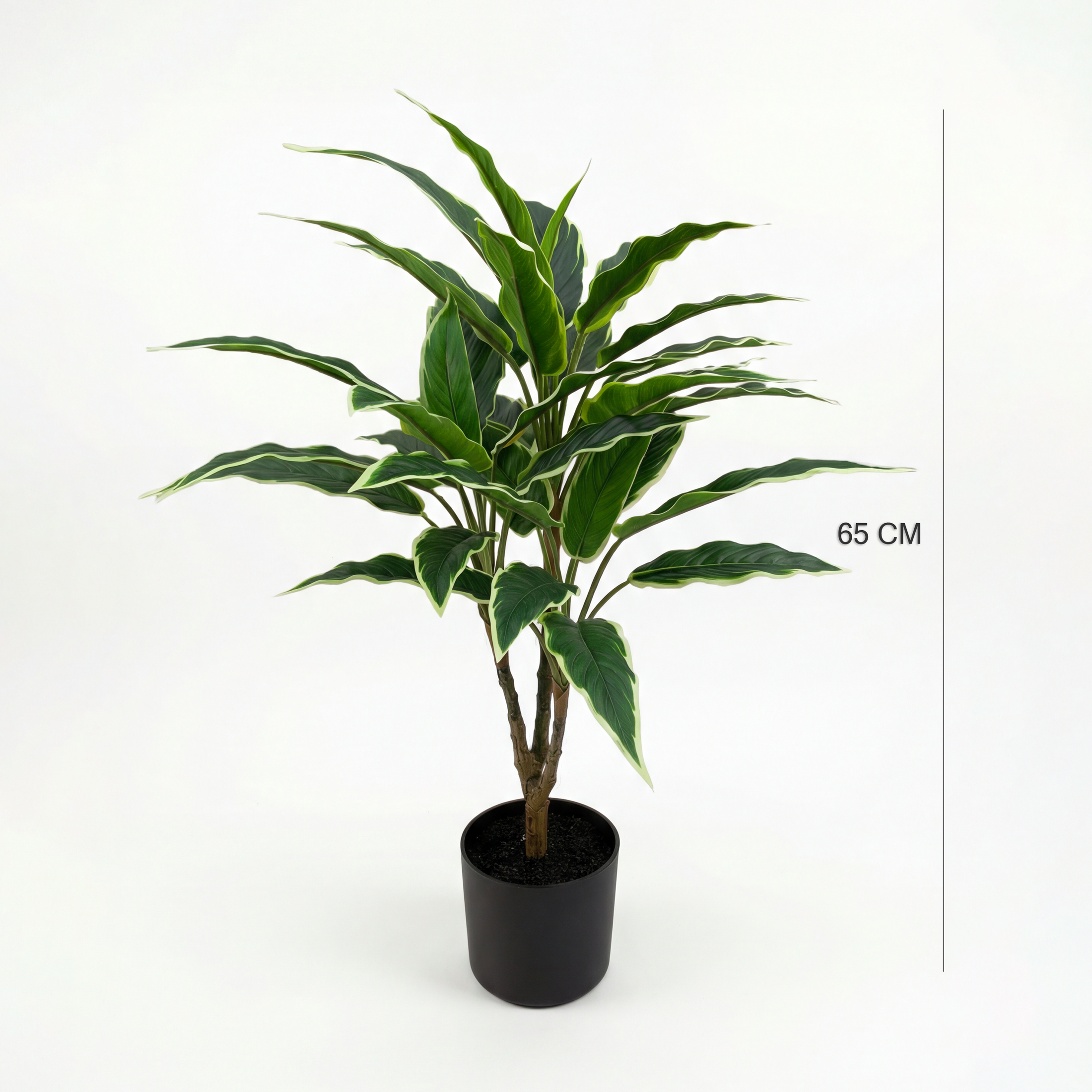 Rohdea Artificială Japonica H65cm • Textură Reală • 36 Frunze