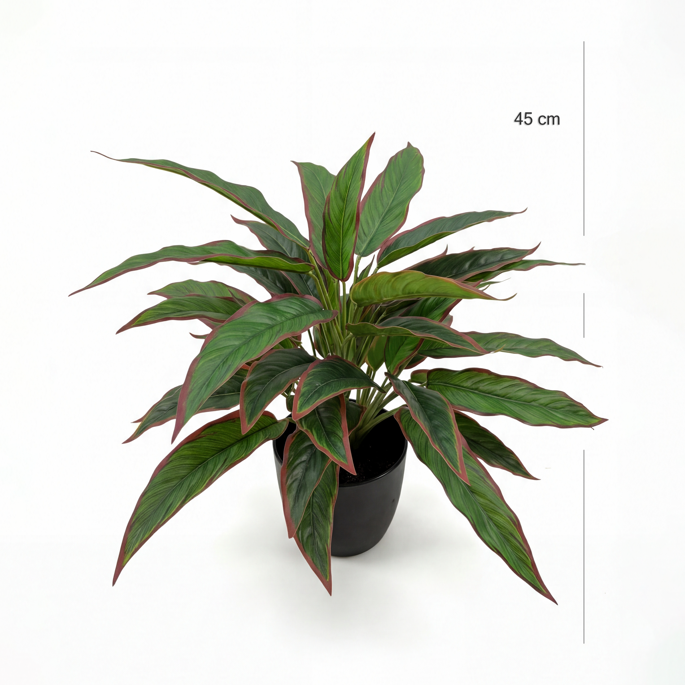 Planta Rohdea Artificială Ruby H45cm • Textură Reală • 44 Frunze