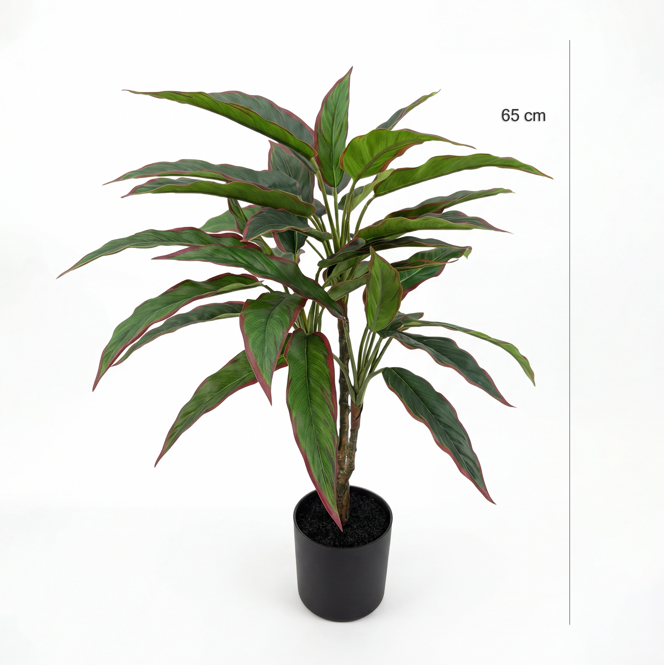 Planta Rohdea Artificială Ruby H65 • Textură Reală • 36 Frunze