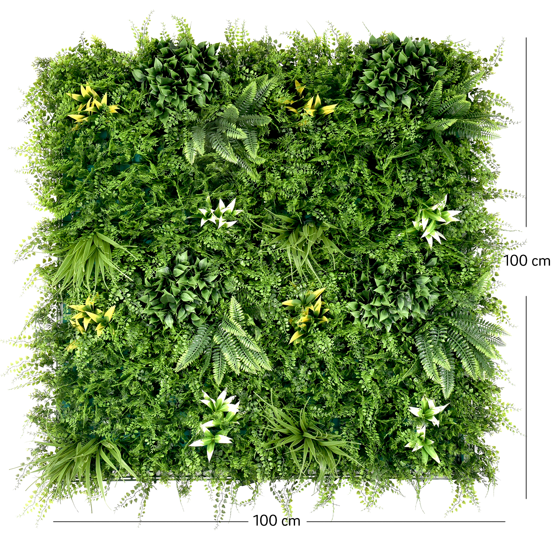 Perete Verde Artificial „GAIA" · 100×100 cm