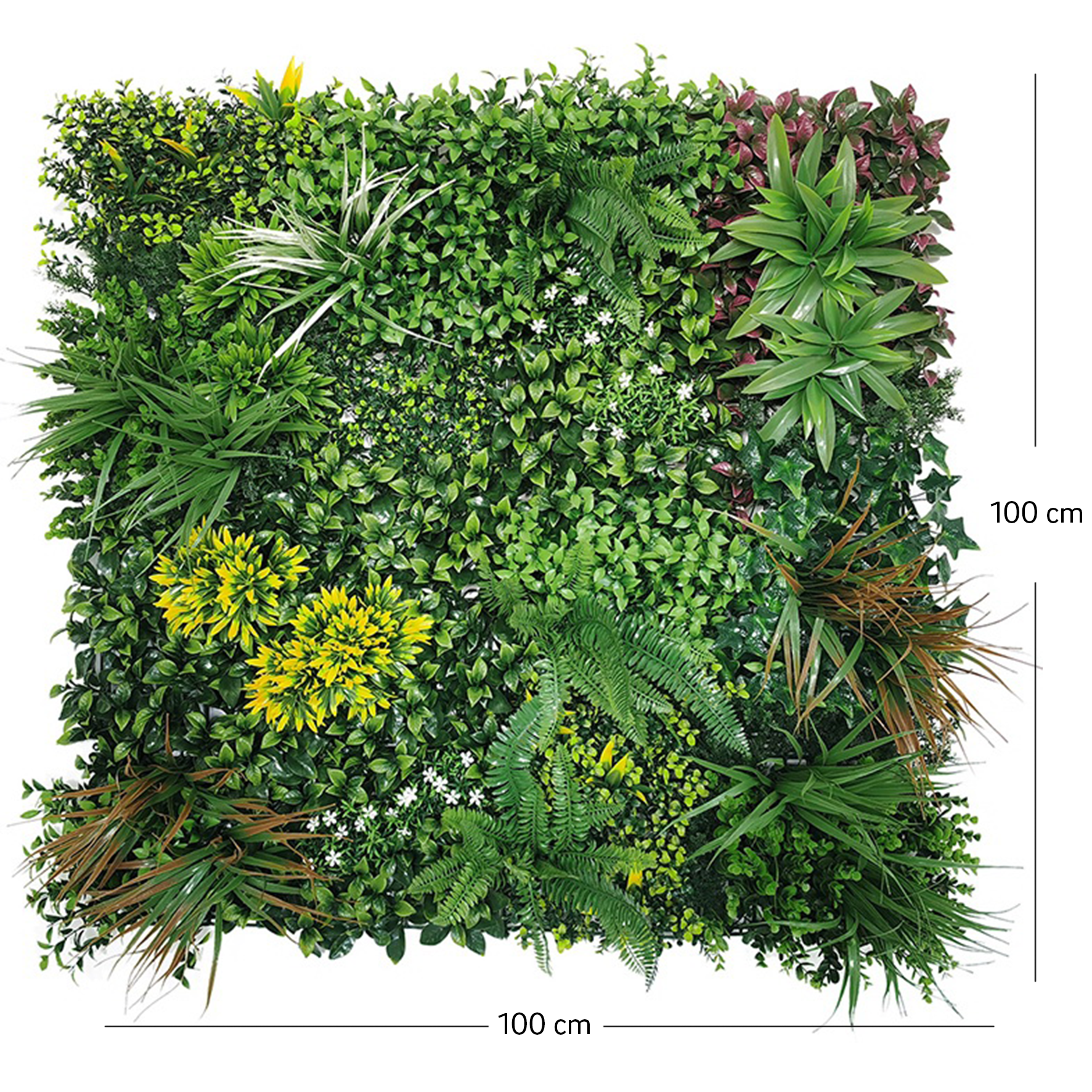 Perete Verde Artificial „VEGA" · 100×100 cm